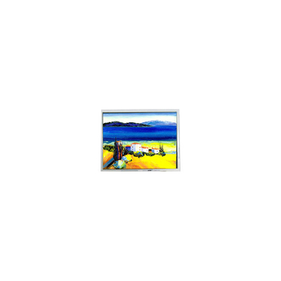 سعر جيد بيع ساخن 5.4 بوصة DMF50773NF-FW 240 * 128 22 دبوس شاشة LCD الانترنت
