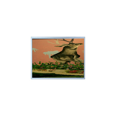 سعر جيد 15.0 بوصة T-51863D150J-FW-A-AE 1024 * 768 LVDS شاشة LCD الصناعية الانترنت