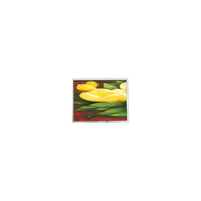 سعر جيد جديد 5.7 بوصة T-55265GD057J-LW-ABN 320*240 33 دبوس شاشة LCD الانترنت