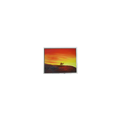 سعر جيد 640*480 10.4 بوصة T-55320GD104J-FW-A-AAN 31 دبوس شاشة LCD الانترنت