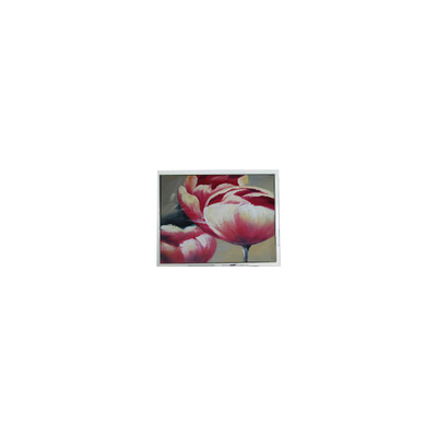 سعر جيد جديد T-55548GD057JU-LW-AAN 5.7 بوصة 262K شاشة LCD أجزاء الانترنت