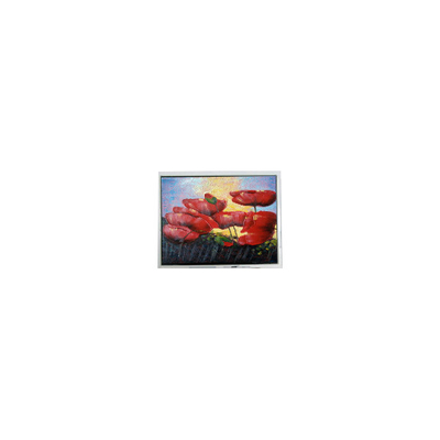 سعر جيد بيع ساخن 6.5 بوصة 640*480 T-55629D065J-LW-A-ABN شاشة LCD شاشة لوحة العرض الانترنت