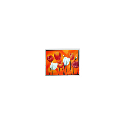 سعر جيد T-55644D090J-LW-A-AAN 9.0 بوصة 1280 * 768 شاشة LCD للصناعية الانترنت