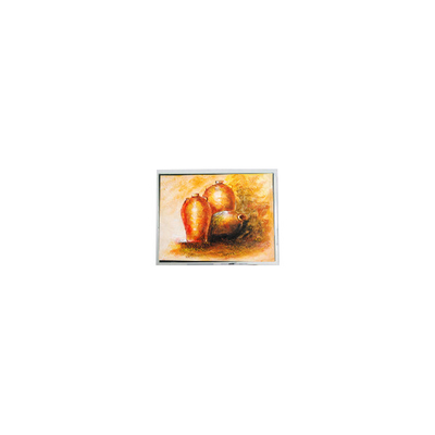 سعر جيد 12. 1 بوصة T-55788GD121J-LW-AEN 800 * 600 شاشة LCD للرعاية الصحية الانترنت