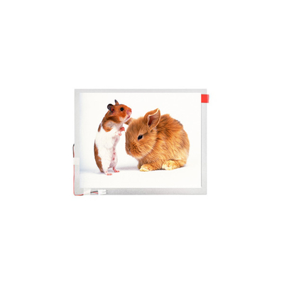 سعر جيد 10.1 بوصة TM101JVHG44-00 LVDS TFT-LCD لوحة شاشة شاشة شاشة شاشة شاشة الانترنت
