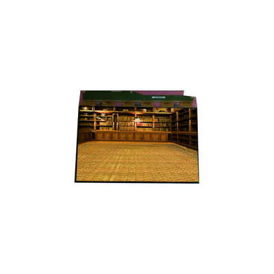 سعر جيد بيع ساخن 1600*1200 TM201XDHP01 20.1 بوصة شاشة LCD LVDS الانترنت