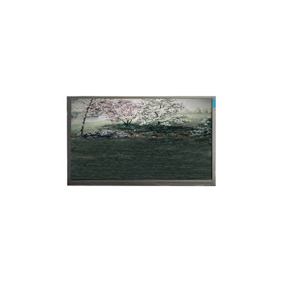 سعر جيد P101GWN9 R0 10.1 بوصة 1024*600 262K 500:1 لوحة LCD عالية الجودة الانترنت