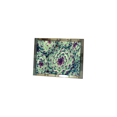 سعر جيد 276*128 EL4836HB-ICE 6.3 بوصة 110 cd/m2 لوحة شاشة LCD الانترنت