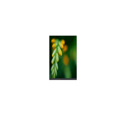 سعر جيد P080DCE-3F0 800*1280 8.0 بوصة شاشة LCD مع لوحة باد الانترنت