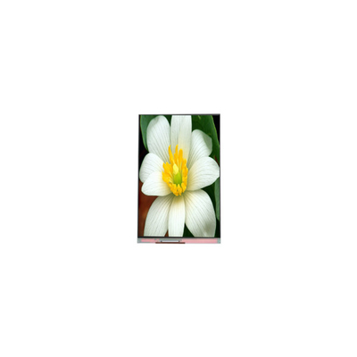 سعر جيد PJ052IC-01C 5.2 بوصة 1080 * 1920 شاشة LCD لوحة عرض الانترنت