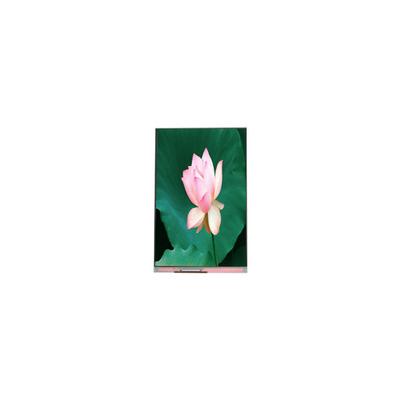 سعر جيد 1080*1920 PJ055IA-14A 5.5 بوصة 60 هرتز شاشة LCD LCD Module الانترنت