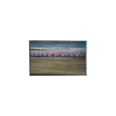 سعر جيد U060SWR8-0 6.0 بوصة 720*1440 شاشة LCD لجهاز الهاتف المحمول الانترنت