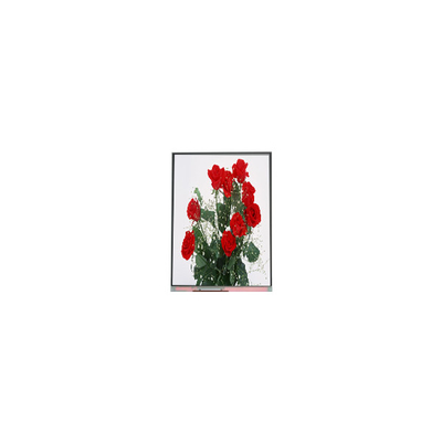 سعر جيد C065SWR1-0 6.5 بوصة شاشة LCD لوحة 720 * 1560 شاشة LCD الانترنت