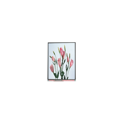 سعر جيد 5.7 بوصة 720*1520 C057SWR2-0 شاشة LCD للهاتف المحمول الانترنت