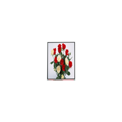 سعر جيد 720*1480 لوحة عرض شاشة LCD 6.3 بوصة C063SWR1-0 الانترنت