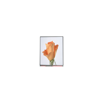 سعر جيد 720*1280 C052SWA2-1 5.2 بوصة شاشة LCD لجهاز الهاتف الانترنت