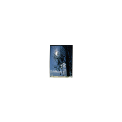 سعر جيد LS055T1SX09 5.5 بوصة 1080 * 1920 شاشة LCD TFT-LCD الانترنت