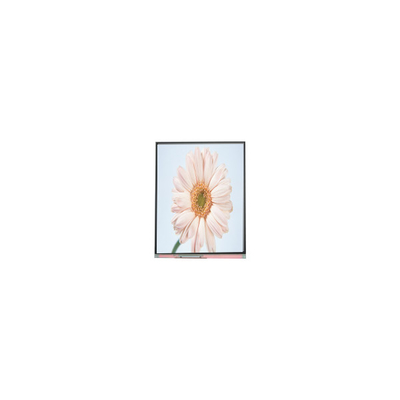 سعر جيد وحدة شاشة LCD جديدة 720*1280 C050HWA5-1 5.0 بوصة الانترنت