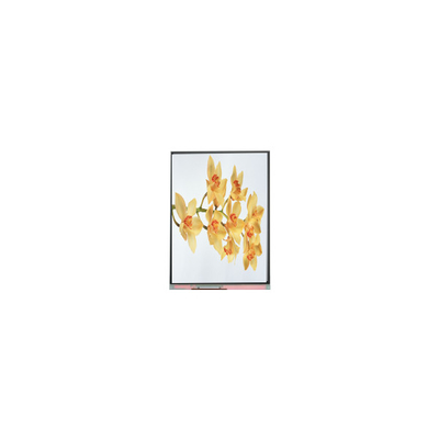 سعر جيد C060SWY2-1 6.0 بوصة 480 * 854 TFT شاشة LCD شاشة شاشة الانترنت
